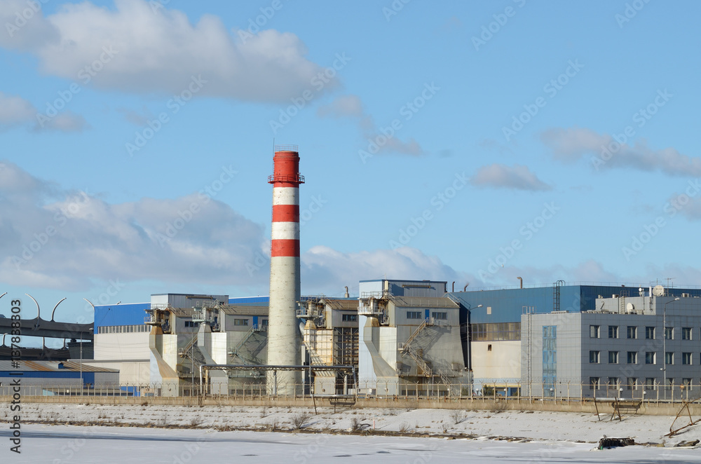 Obraz premium The plant in the industrial zone.