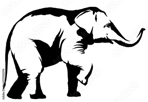 Photography black and white linear paint draw elephant illustration