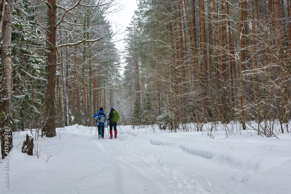 A small group of tourists traveling on snow-covered forest.