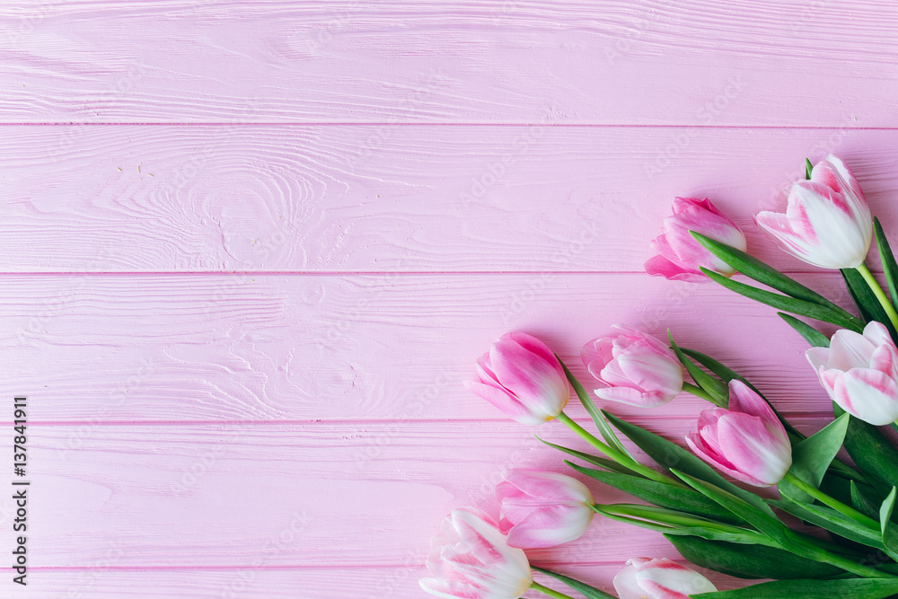 Wooden pink background and tulips. Conception holiday, March 8, Mother's Day. Wooden pink background and tulips. Conception holiday, March 8, Mother's Day.