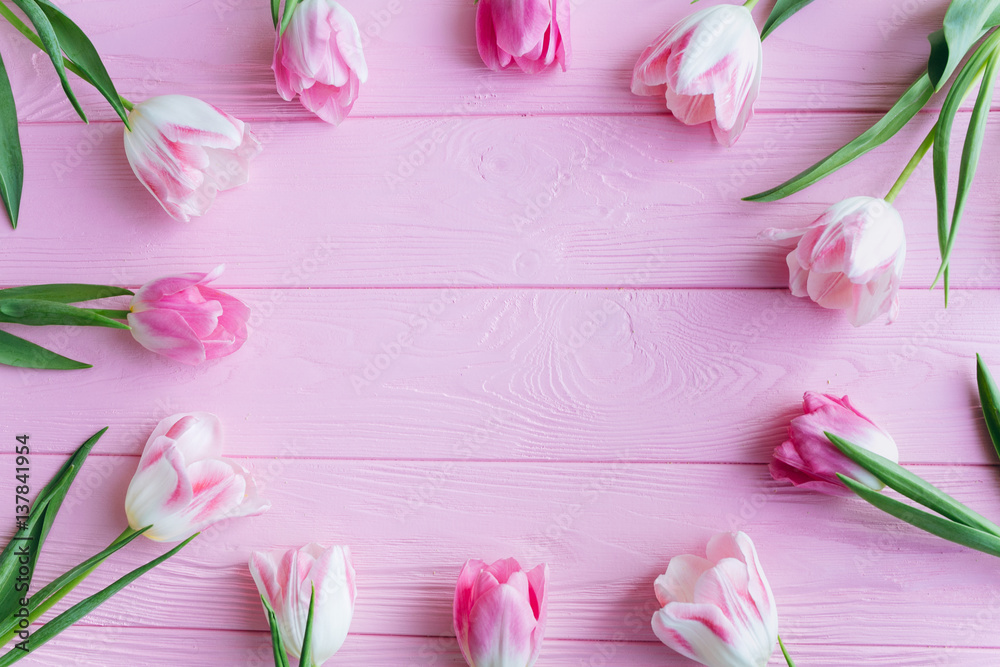 Wooden pink background and tulips. Conception holiday, March 8, Mother's Day.