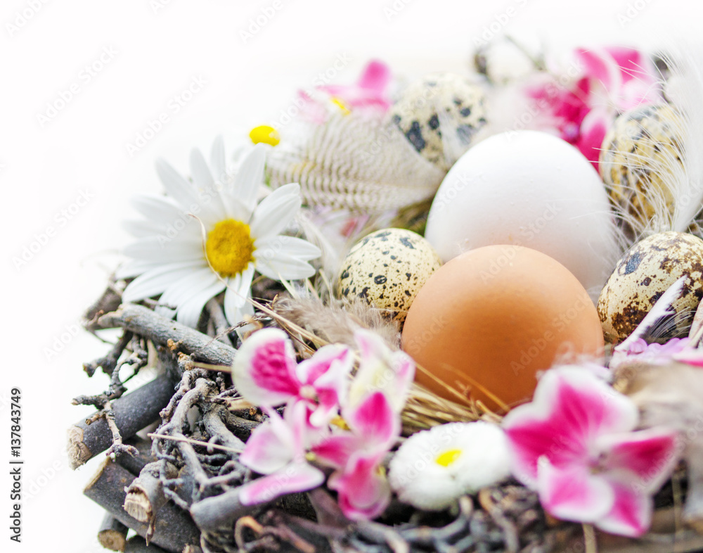 Fototapeta Happy Easter: nest with Easter eggs, feathers, flowers and heart :)