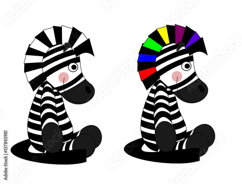 zebra