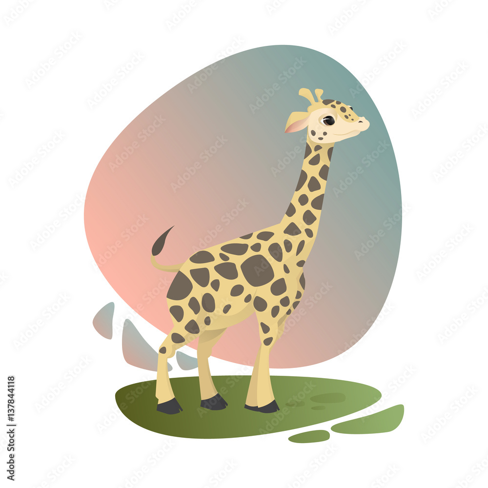 Cute baby giraffe staying on green grass with beautiful pink and blue sky on background