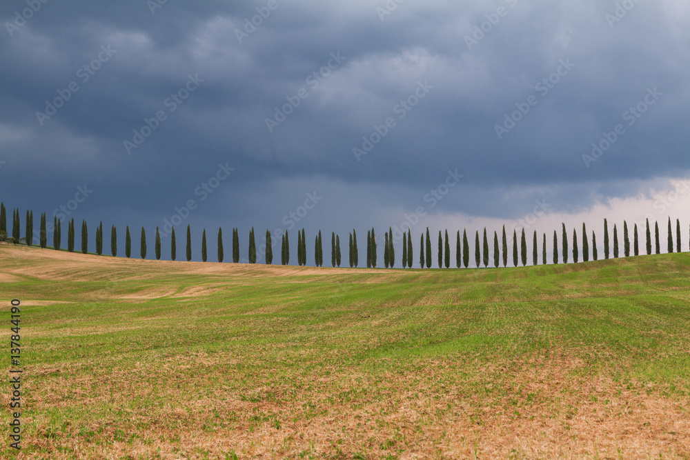 Tuscany landscape, beautiful green hills springtime