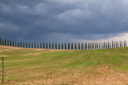 Tuscany landscape, beautiful green hills springtime