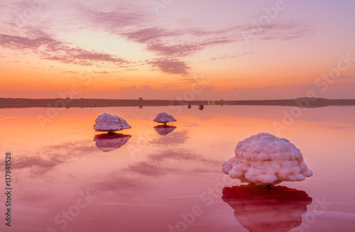 Mushroom-shaped salt formation in the Masazir Lake. Water of this lake is heavily saturated with salt and has a bright pink color. Masazir, Baku, Azerbaijan. photo