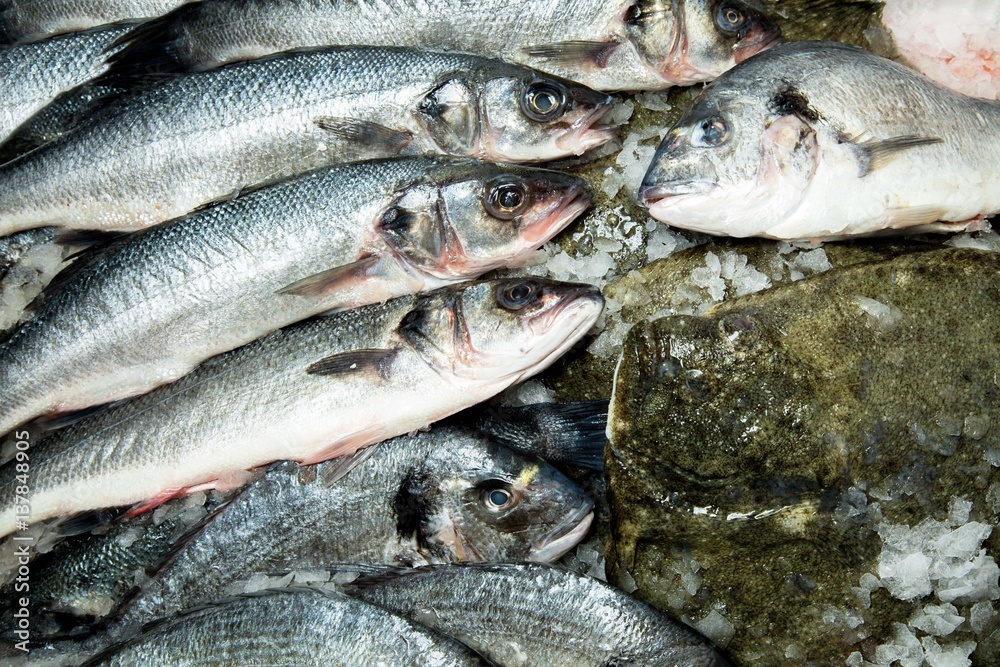 Fischmix Fischmix