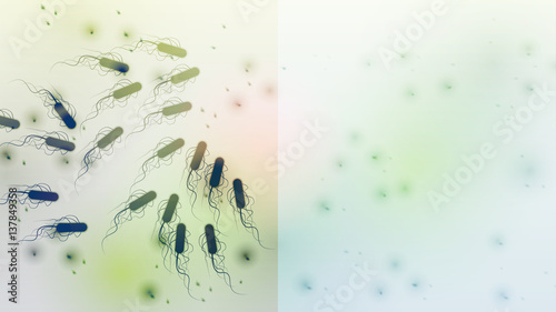 Infected by Bacteria and Disinfected Area - Vector Illustration