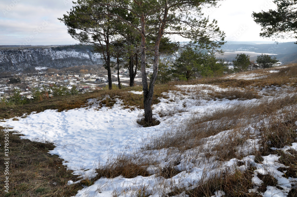 Spring landscape with melting snow and pine trees Spring landscape with melting snow and pine trees