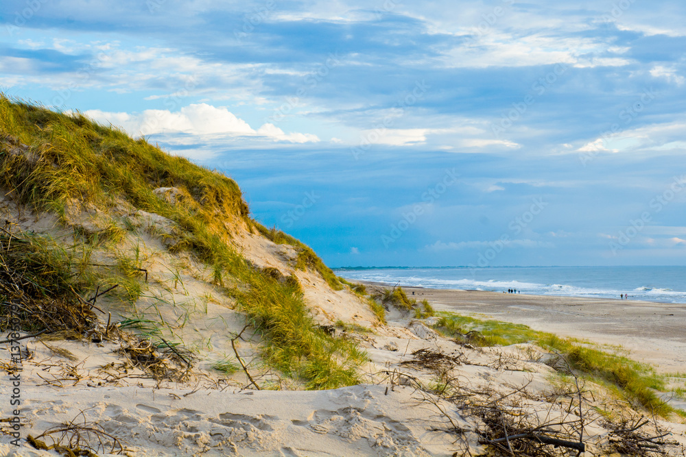 Stranddünen in Dänemark Stranddünen in Dänemark