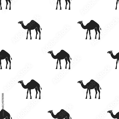 Camel Icon In Black Style Isolated On White Background Arab Emirates Pattern Stock Vector Illustration Stock Vector Adobe Stock
