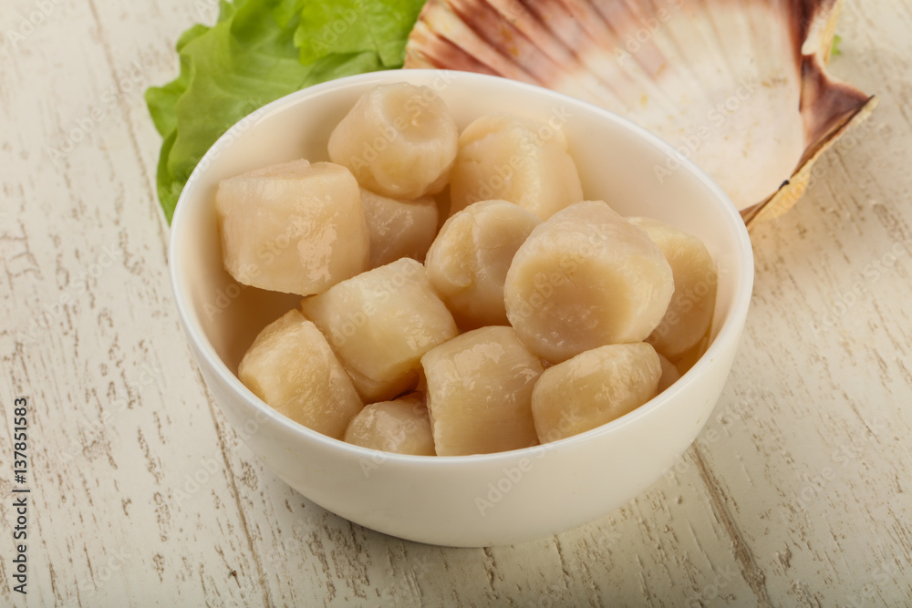 Raw scallops heap Raw scallops heap