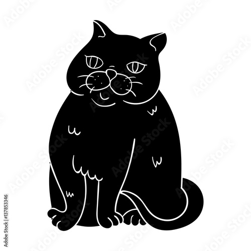Exotic Shorthair icon in black style isolated on white background. Cat breeds symbol stock vector illustration.