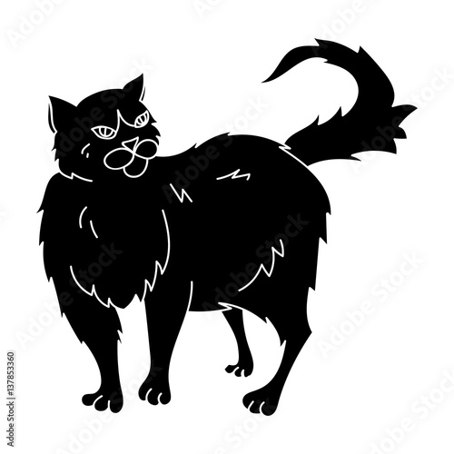 Persian icon in black style isolated on white background. Cat breeds symbol stock vector illustration.