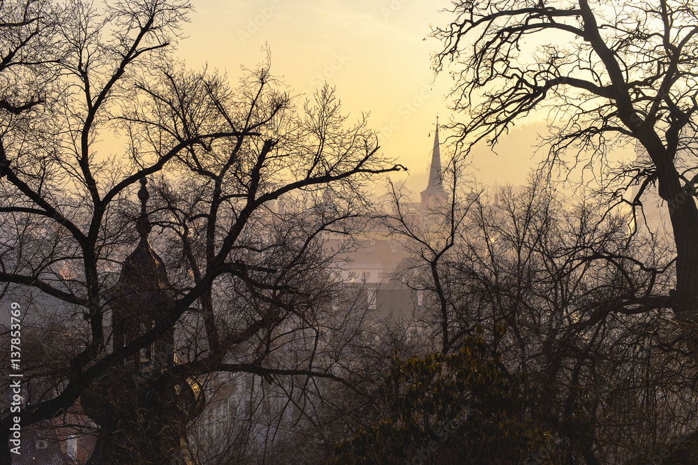 Prague's gothic architecture silhouettes in sunset and foggy light. View from Prague Castle. Prague's gothic architecture silhouettes in sunset and foggy light. View from Prague Castle.