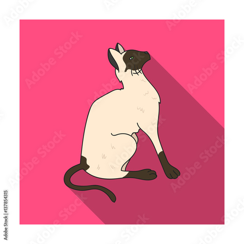 Siamese icon in flat style isolated on white background. Cat breeds symbol stock vector illustration.