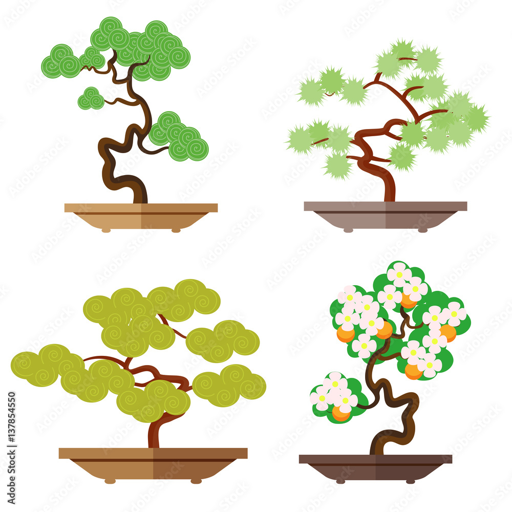 Set of bonsai. Japanese culture is the cultivation of bonsai. Miniature