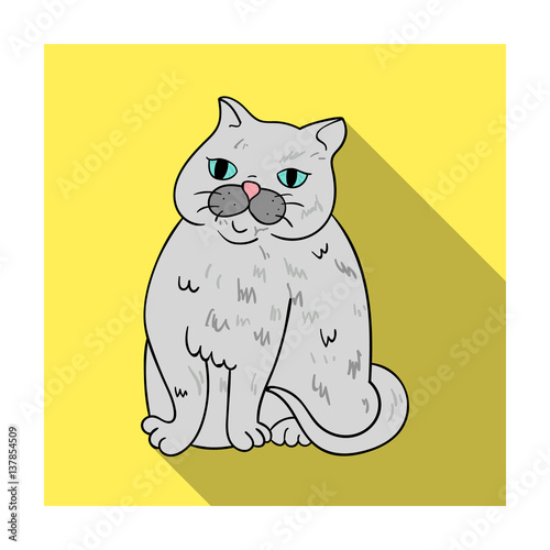 Exotic Shorthair icon in flat style isolated on white background. Cat breeds symbol stock vector illustration.