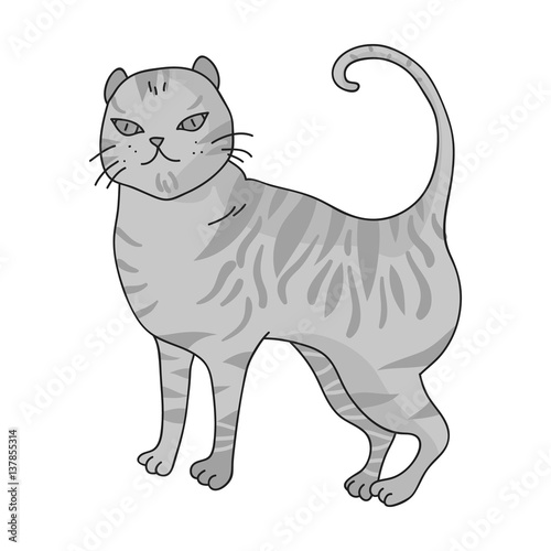 British Shorthair icon in monochrome style isolated on white background. Cat breeds symbol stock vector illustration.