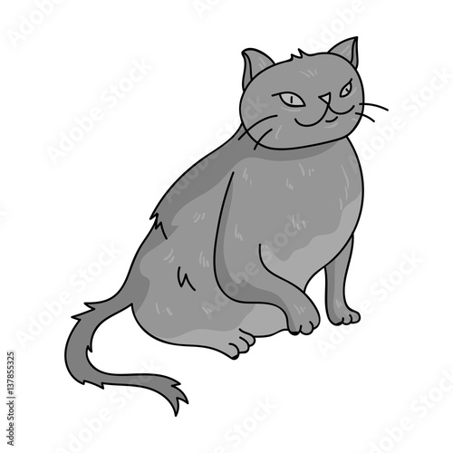 York Chocolate icon in monochrome style isolated on white background. Cat breeds symbol stock vector illustration.