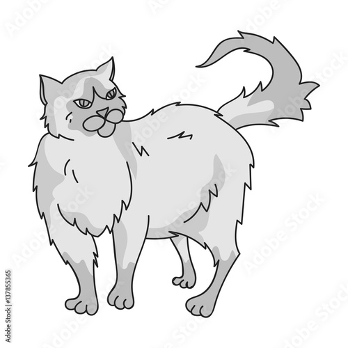 Persian icon in monochrome style isolated on white background. Cat breeds symbol stock vector illustration.