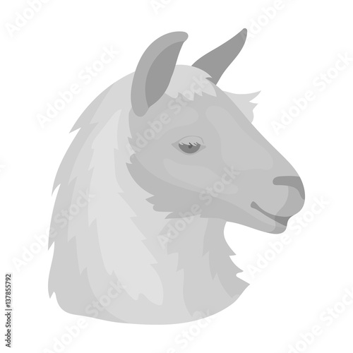 Lama icon in monochrome style isolated on white background. Realistic animals symbol stock vector illustration.
