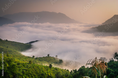 Mist In The Valley