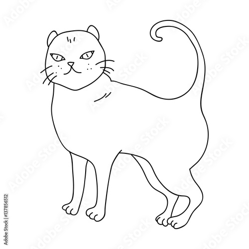 British Shorthair icon in outline style isolated on white background. Cat breeds symbol stock vector illustration.