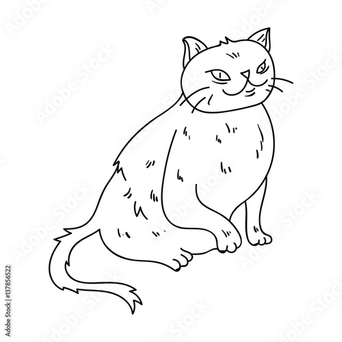 York Chocolate icon in outline style isolated on white background. Cat breeds symbol stock vector illustration.