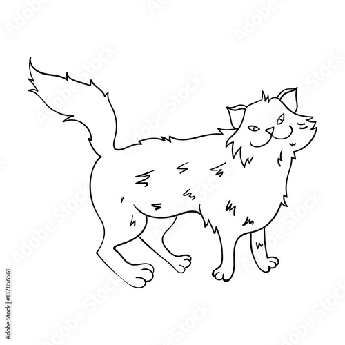 Norwegian Forest Cat icon in outline style isolated on white background. Cat breeds symbol stock vector illustration.