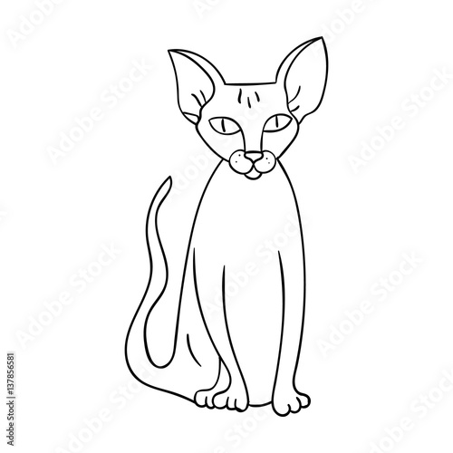Peterbald icon in outline style isolated on white background. Cat breeds symbol stock vector illustration.
