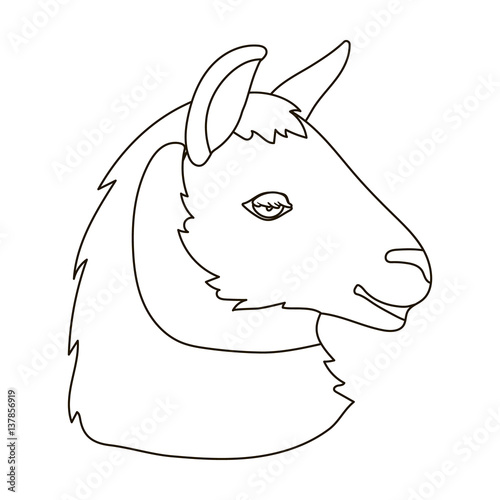 Lama icon in outline style isolated on white background. Realistic animals symbol stock vector illustration.