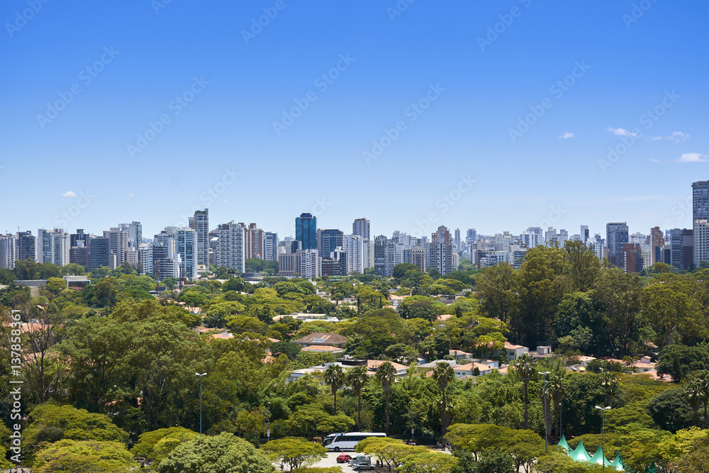 Obraz premium Sao Paulo city, Brazil. Ibirapuera Park