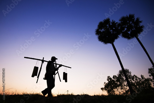 silhouette of Farmer walking and holding sugar collector to collect of sugar syrup.