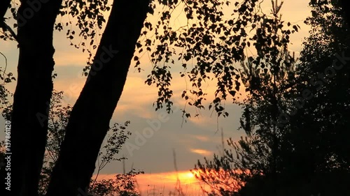 Bäume vor einem wunderschönen Sonnenuntergang