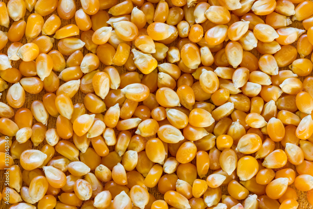 Corn for popcorn Corn for popcorn