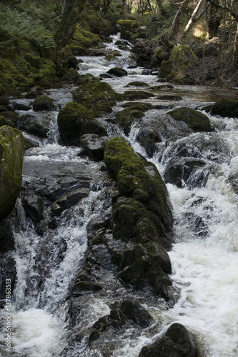 Waterfall cascades over mossy rocks in Irish forest