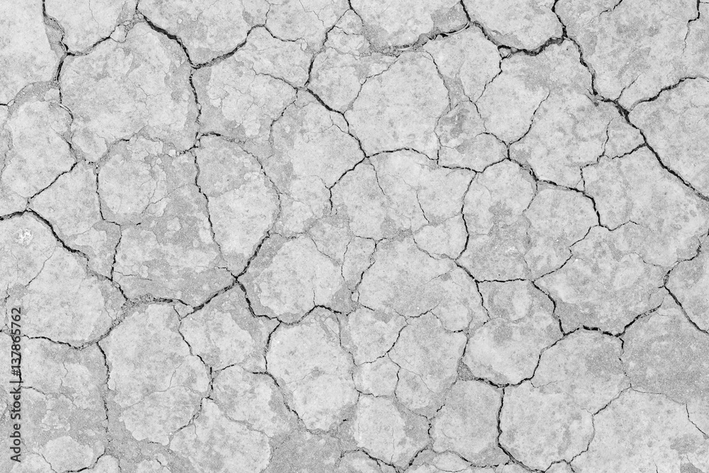 Fototapeta premium soil crack texture background