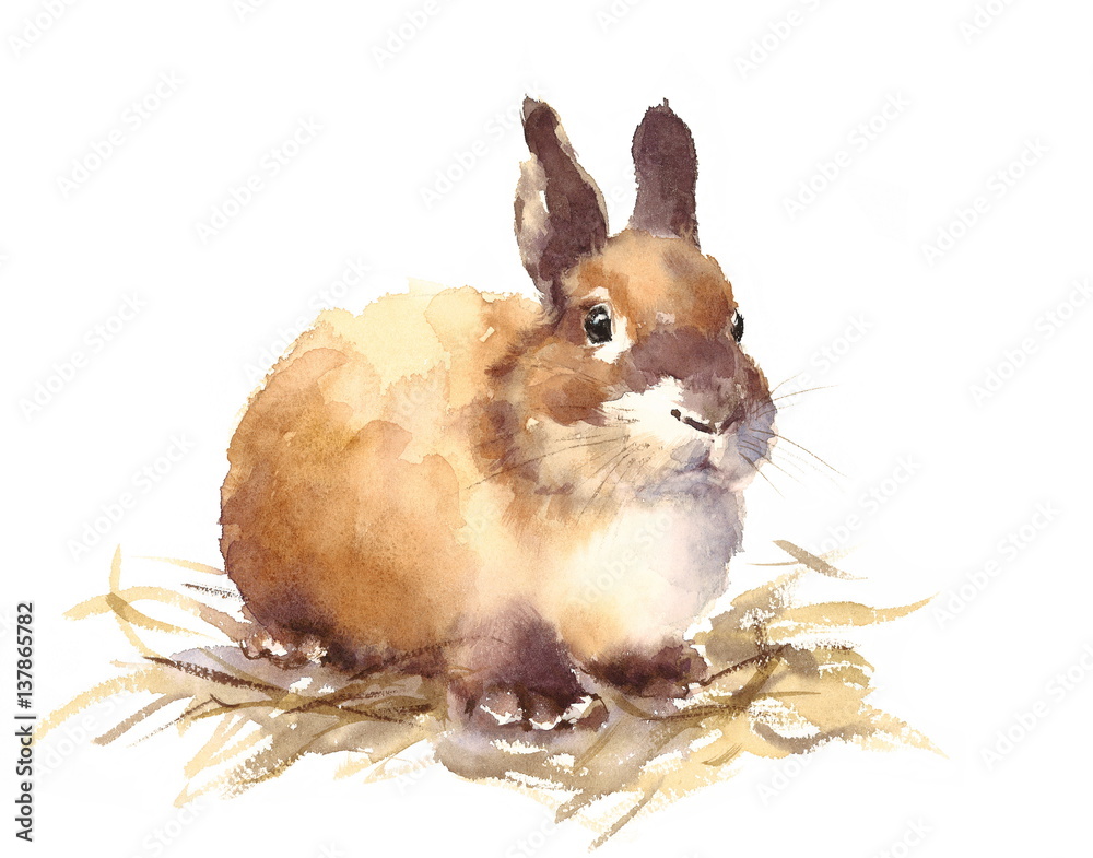 Obraz premium Akwarela Cute Baby Bunny królik ręcznie rysowane ilustracja zwierzę domowe na białym tle