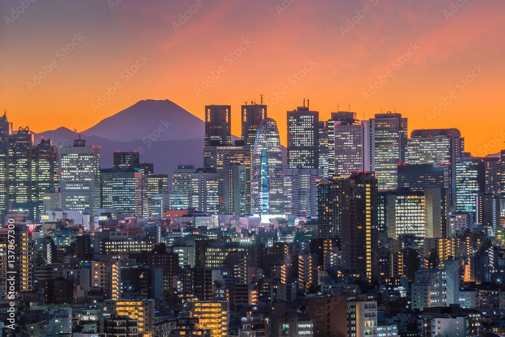 Fototapeta premium Tokyo skyline and Mountain fuji