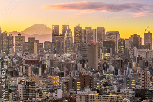 Photography Tokyo skyline and Mountain fuji
