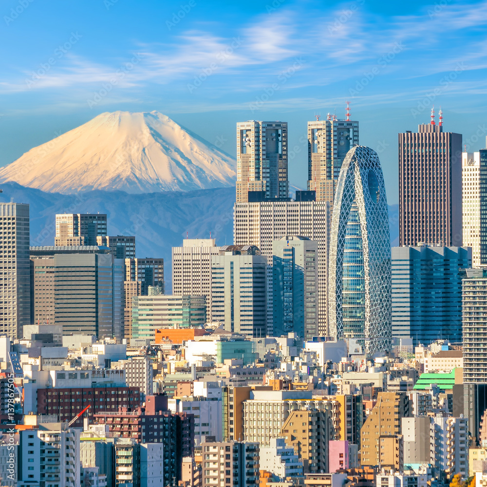 Naklejka premium Panoramę Tokio i góry fuji