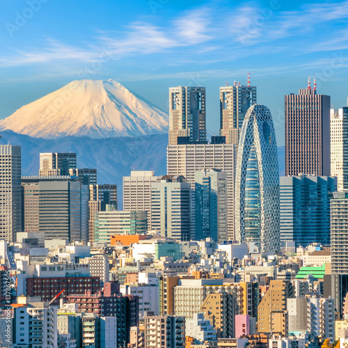 Tokyo skyline and Mountain fuji