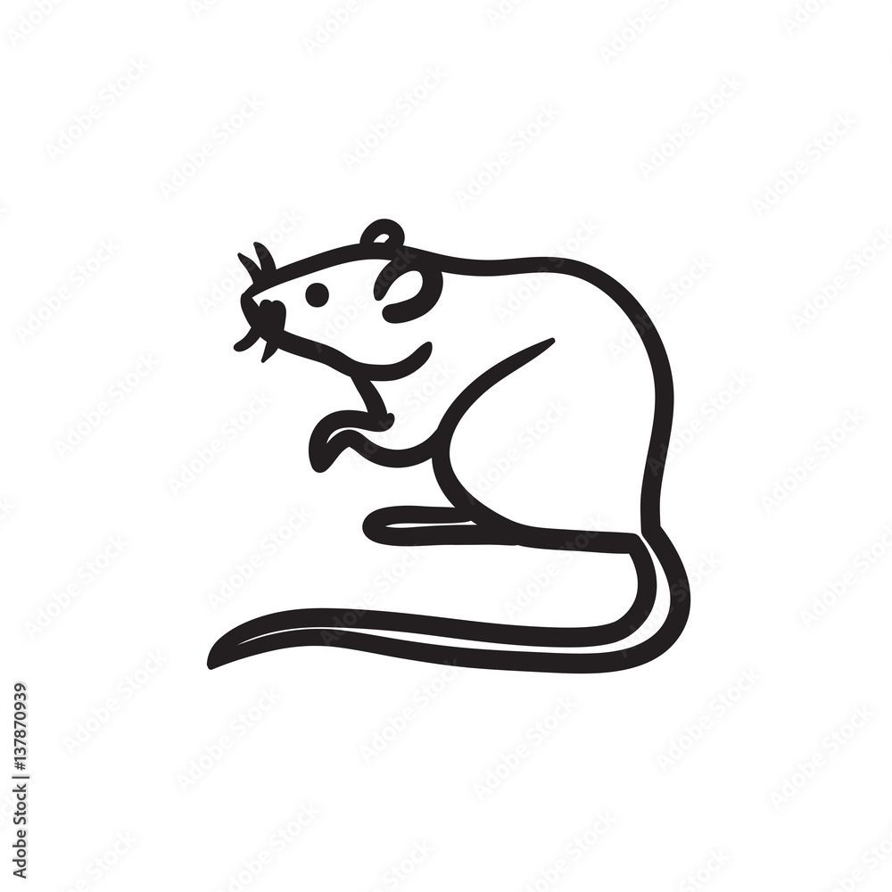 Obraz premium Mouse sketch icon.