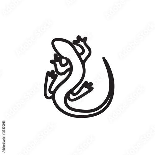 Lizard sketch icon.