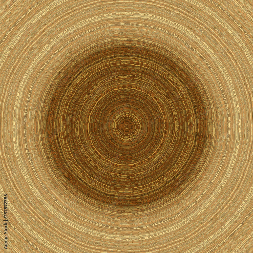 Annual rings in cut tree 