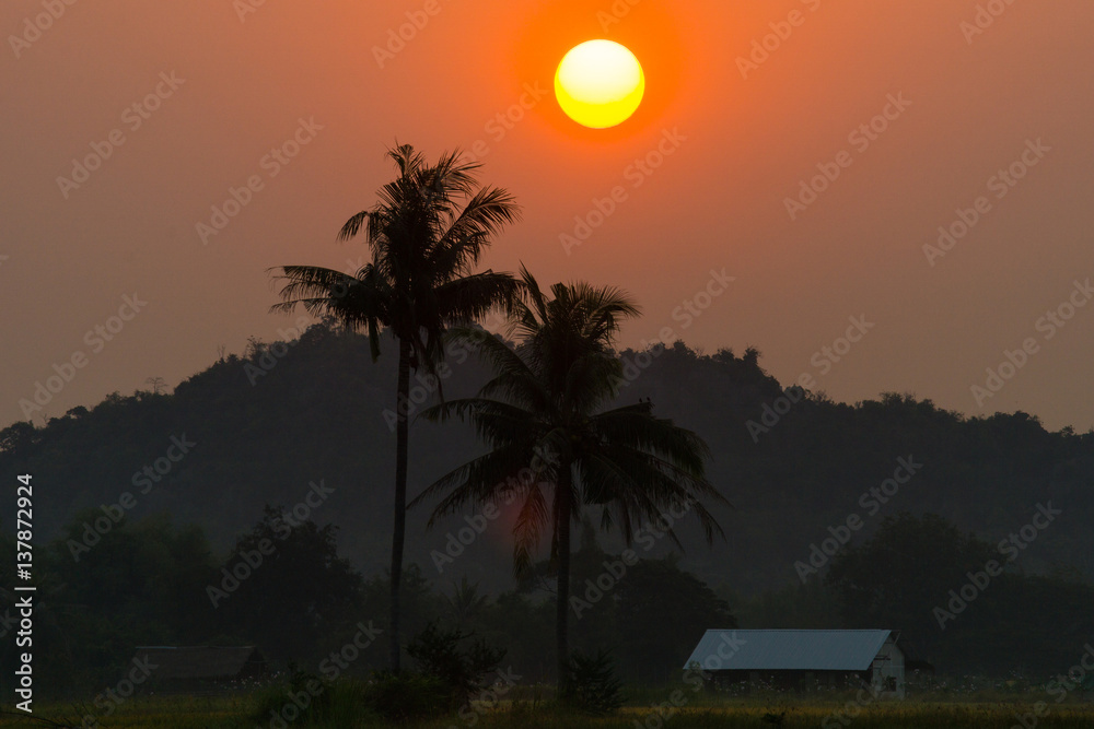 Obraz premium Beautiful big sun in the morning