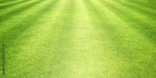 grass background Golf Courses green lawn © scenery1