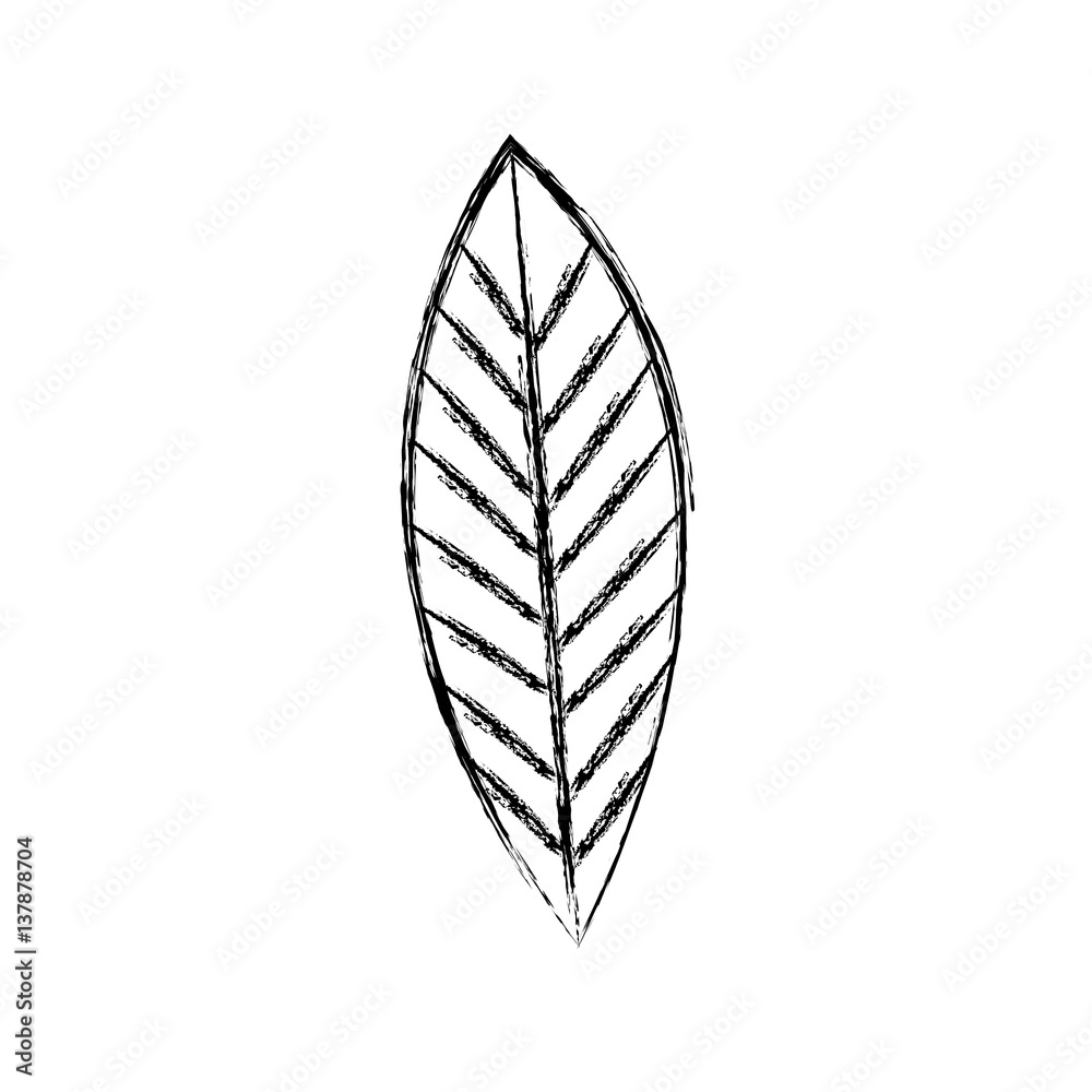 contour leaves icon image stock, vector illustration design contour leaves icon image stock, vector illustration design